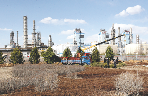 九球直播小仙儿主直播间